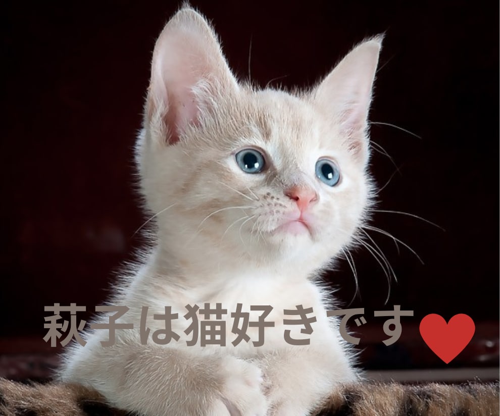 介護の悩みありませんか？疲れていたらお話し伺います 祖母の介護を4年やってきたおはぎが貴方の気持ちを和らげます。 イメージ4
