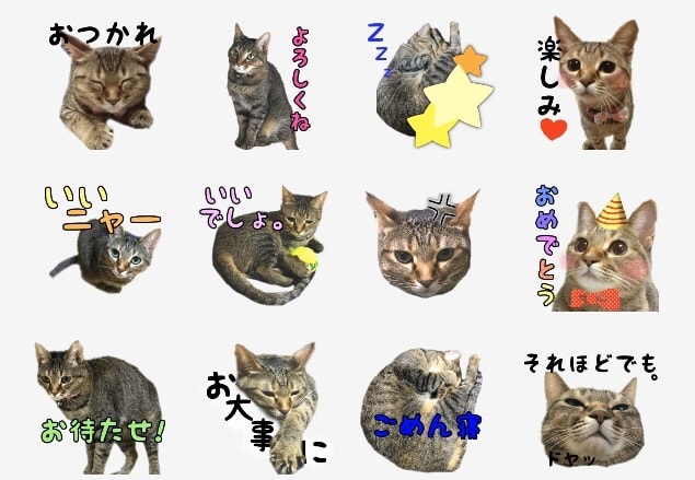 お子様やペットの写真でLINEスタンプ作ります ママ友さんに好評☆可愛いLINEスタンプお作りします イメージ1