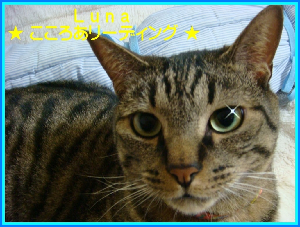 あなたの心♡明日を、キット！笑顔にします うつむく心の内を全部話して。メッセージをあなたへ・・・ イメージ6