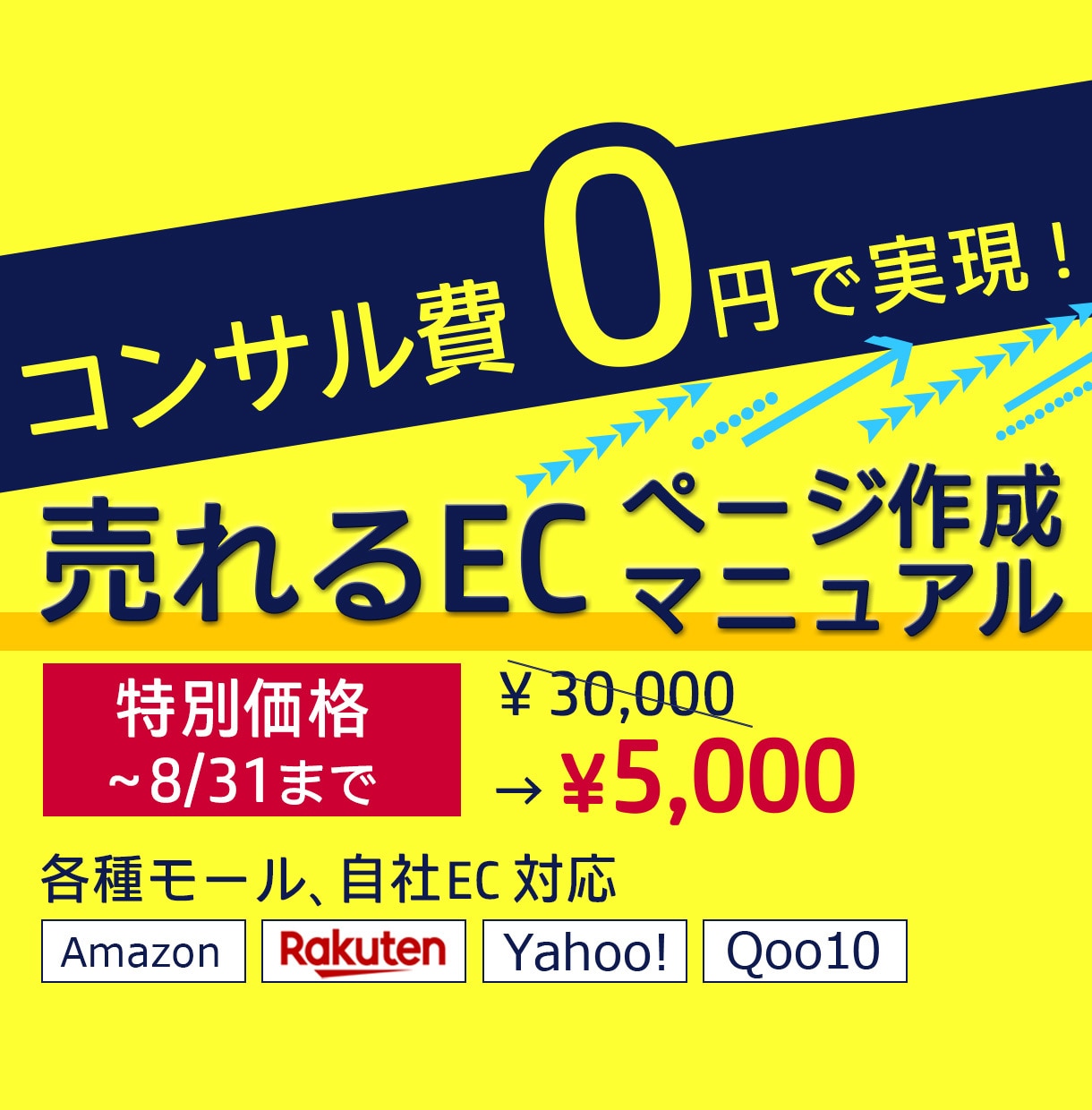 EC(モール/自社)売上UPの具体的手法を教えます 企業様に行うコンサルレクチャー約3回分の内容を凝縮した教材 イメージ1