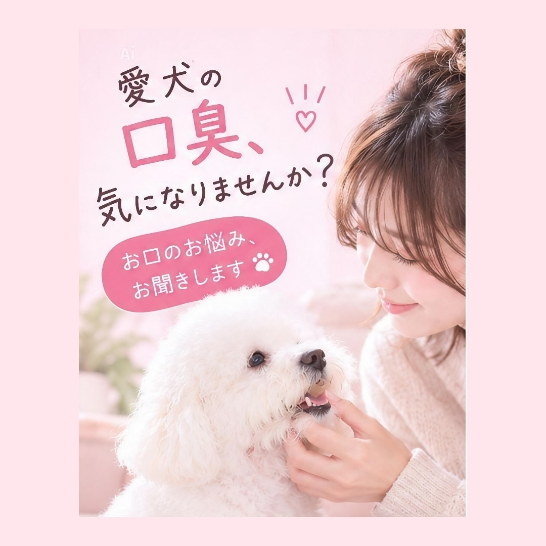 愛犬の口臭のお悩みを一緒に考えます 口臭が気になる、歯磨きが苦手などのお悩みに寄り添います イメージ1