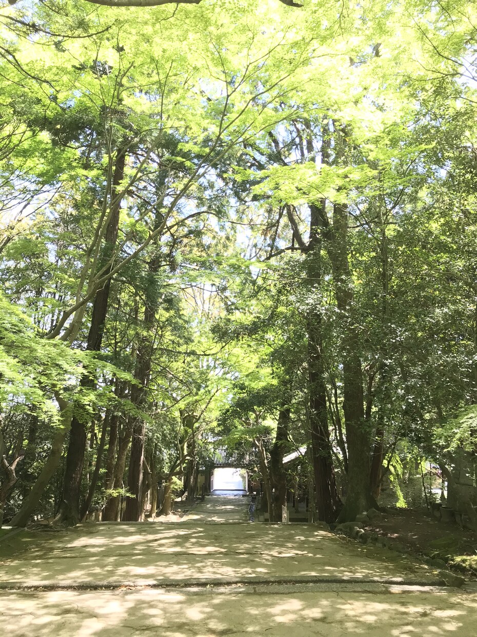 山口県とその周辺のスナップ写真を撮影します スマホで撮影した普通の写真が必要な方へ イメージ3