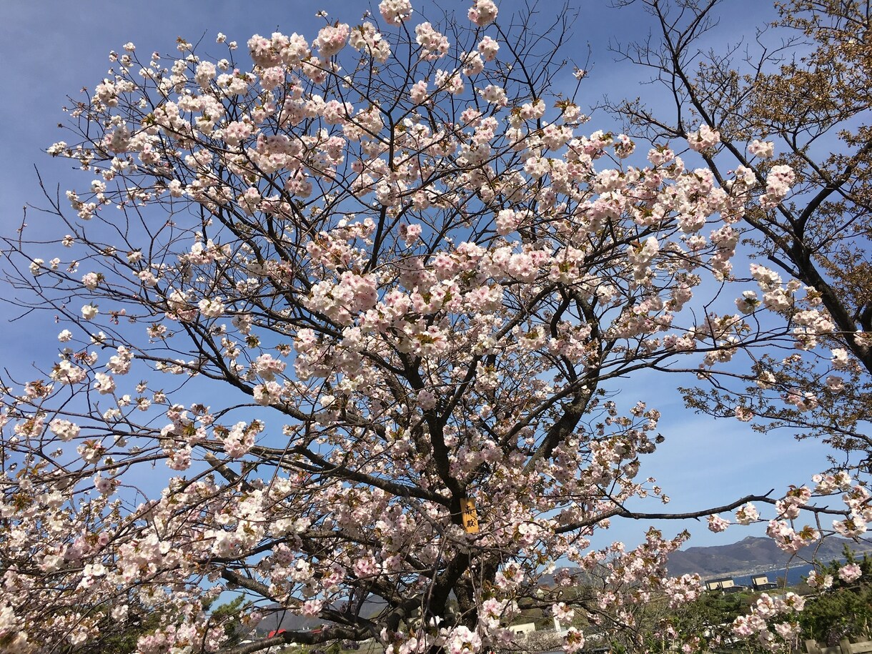 子供から大人まで！なんでも相談にのります なんでも相談してください！愚痴でも相談でもまってます！ イメージ2