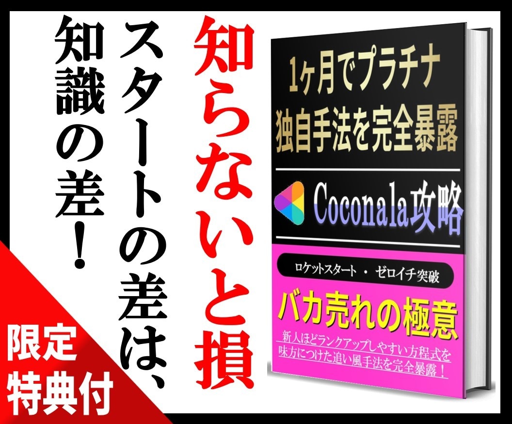 ココナラ★初級編～副業にならない稼ぎ方実践してます 初月プラチナ獲得した方法が丸わかり★マニュアル抜粋無料配布中 イメージ7