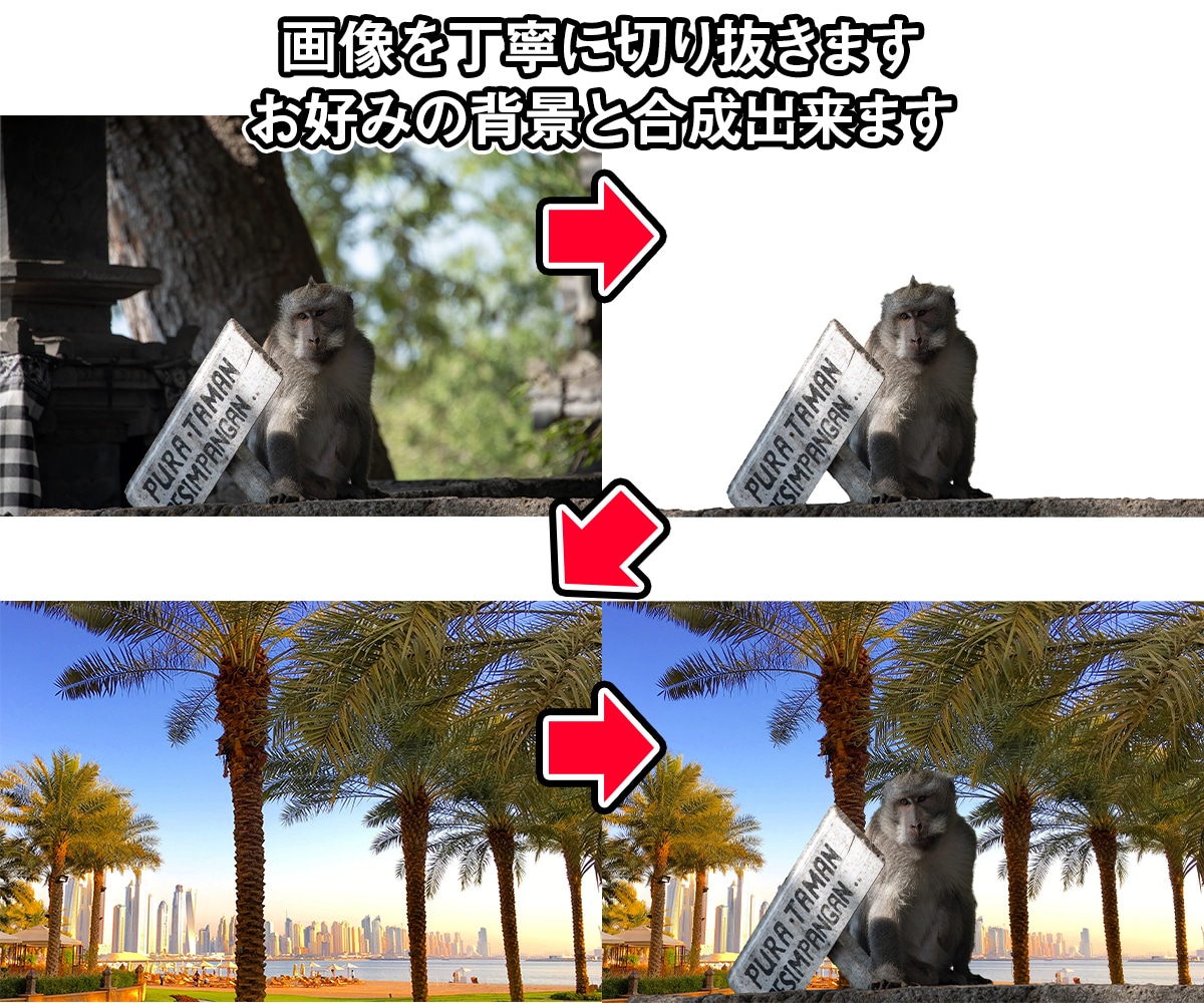 即日対応！丁寧に写真の加工・レタッチなど致します 修正・切り抜き・合成・不要物除去などなんでもご相談ください！ イメージ8