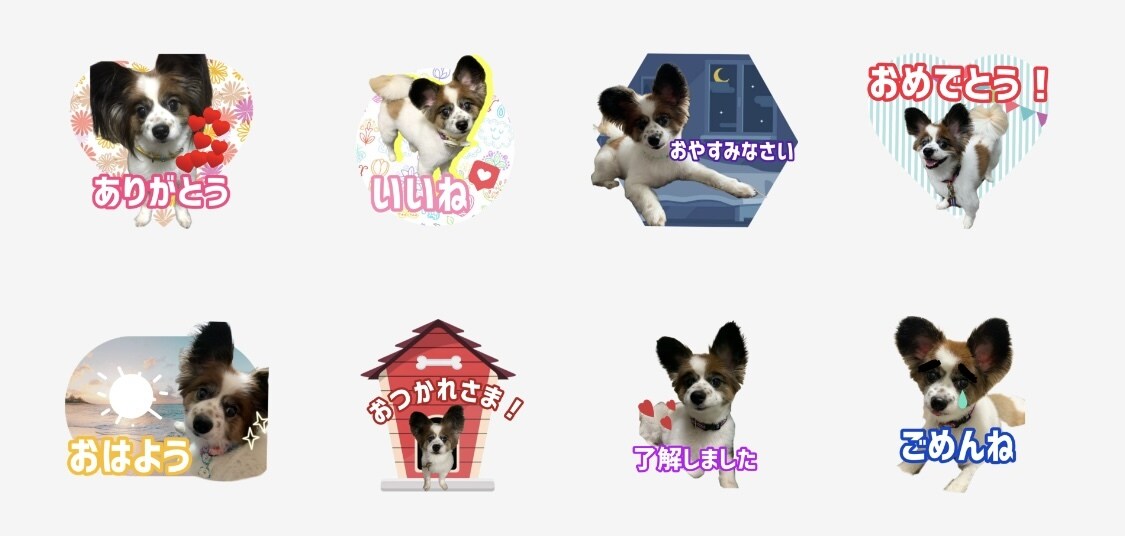 愛犬、愛猫など【写真】LINEスタンプ作ります 明るくポップなデザインで可愛さ演出！！ イメージ3