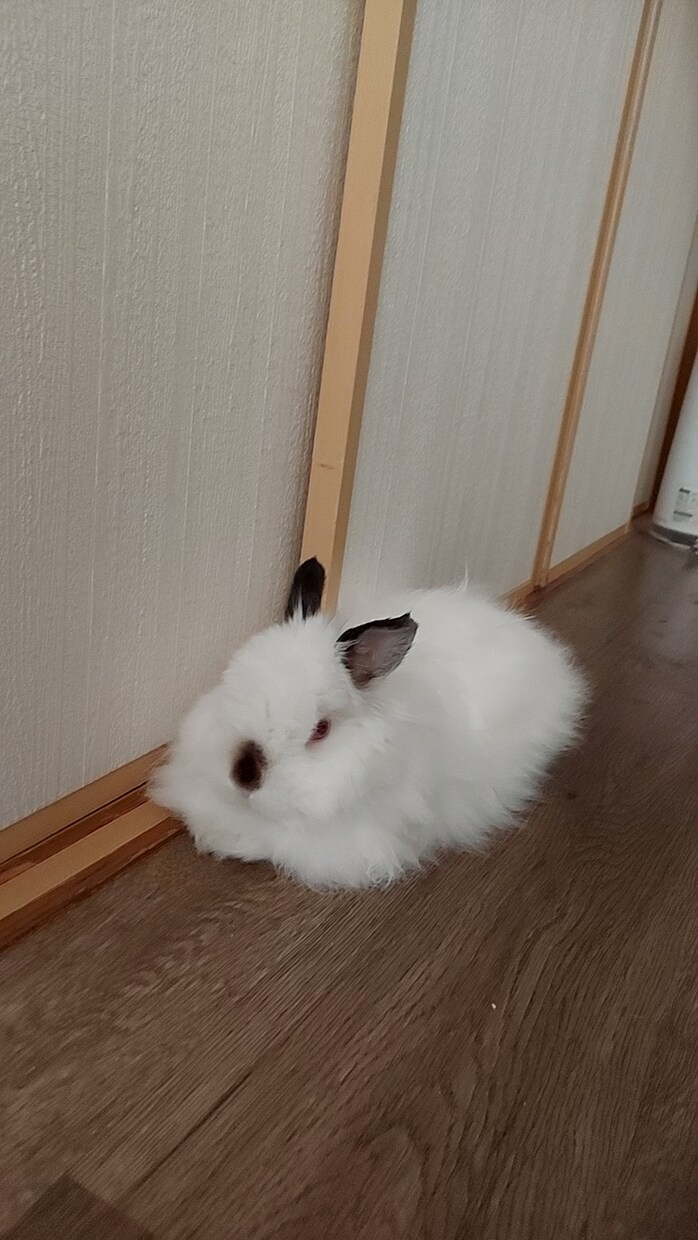 1人で悩まないで！気持ちに寄り添い癒します 泣いてもいいんです。心のマッサージをさせて頂きます。 イメージ1
