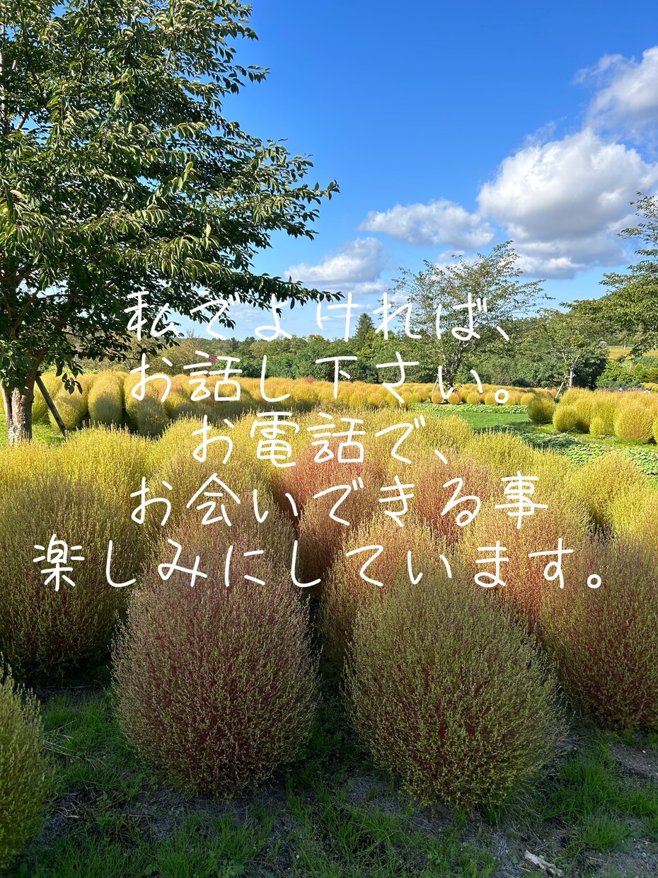 心のオアシスになれるようなお話し相手になります あなたの心が晴れるようお力添えさせてください♪ イメージ4