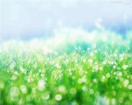 あなたのためのトークルーム☆なんでもお話聴きます ＊２日間＊あなたに寄り添います♪ イメージ1