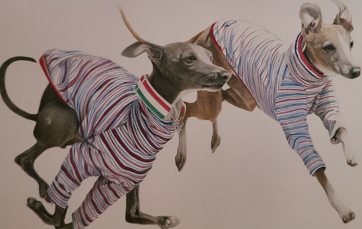 色鉛筆で、リアルなペットの絵をお描きします 大切なペットを絵にして、ご自宅にプレゼントにいかがですか? イメージ9