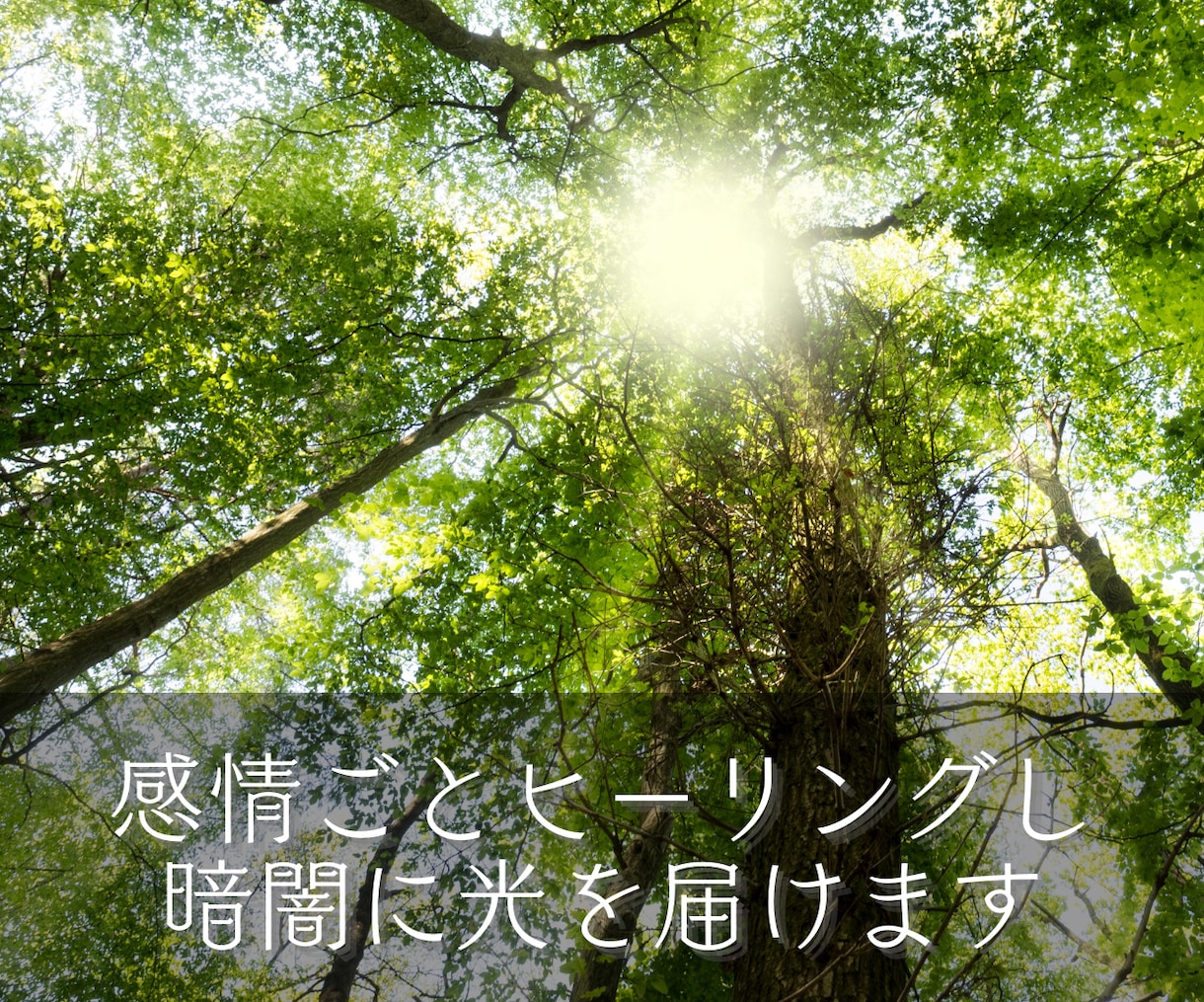 ネガティブ感情のブロックを解除し波動調整を致します あなたの心の闇に光を届け感情ごと癒してエネルギーを解放します イメージ4