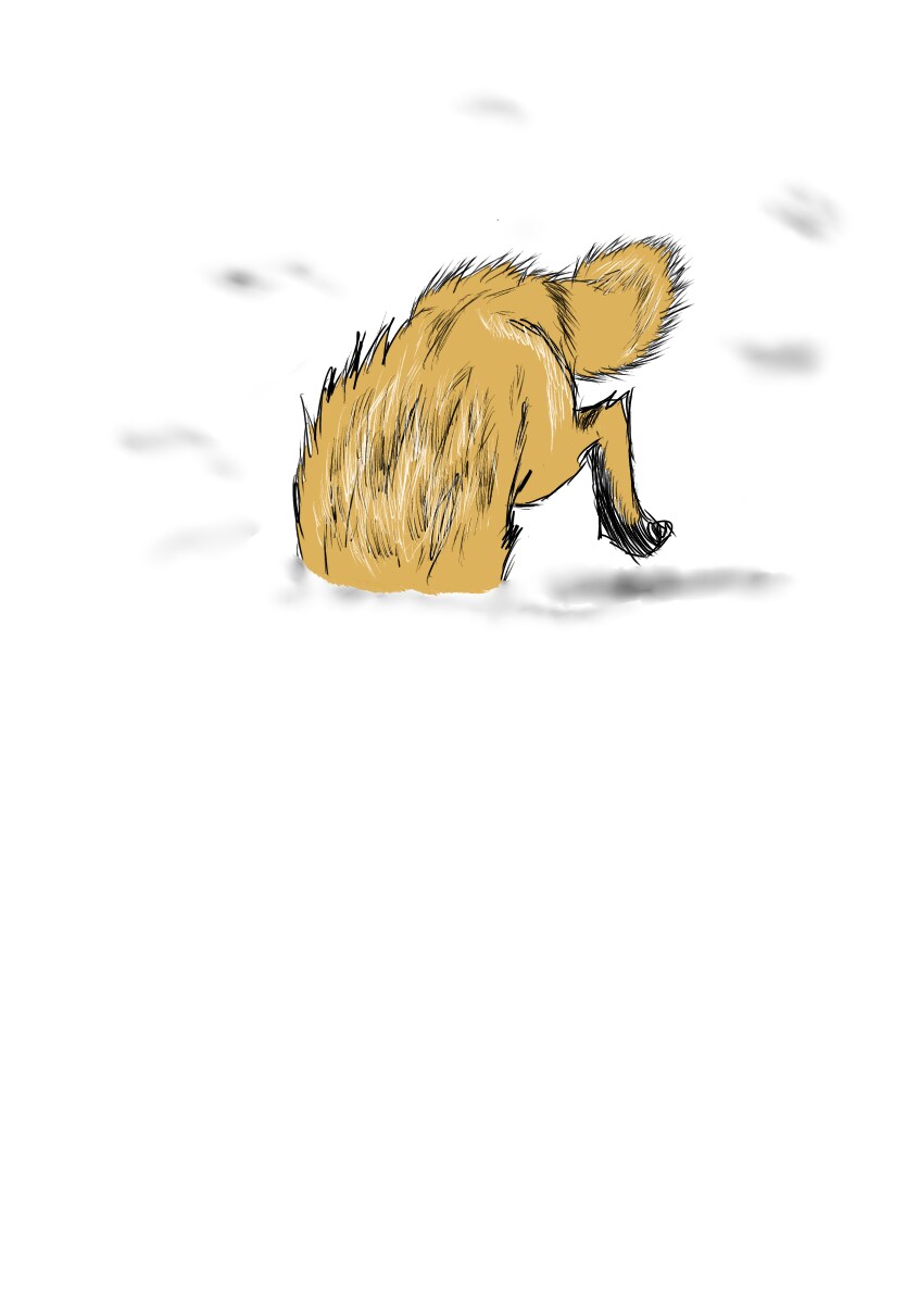 動物の絵を描きます 仕上がりは画像のような感じです！ イメージ4