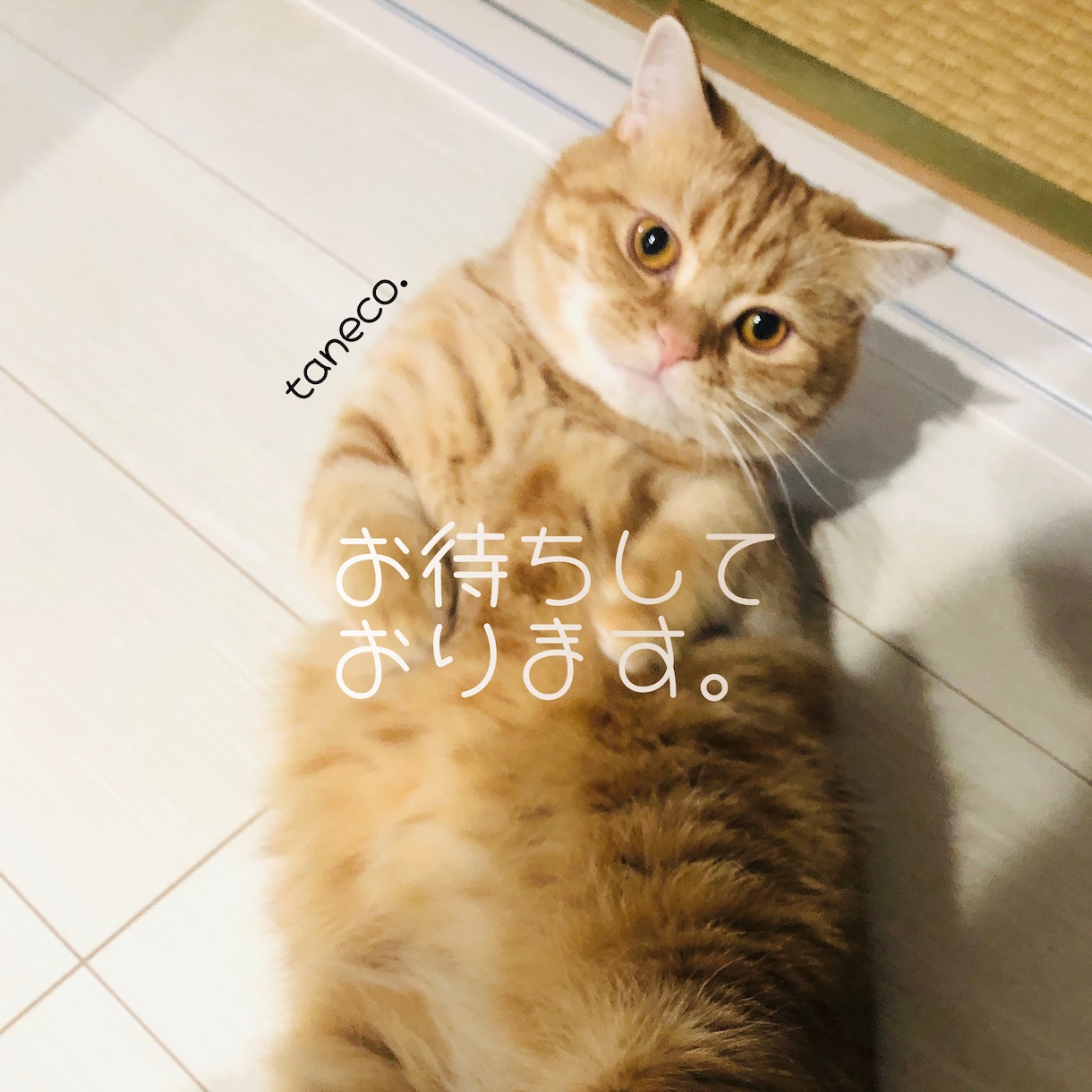 問題をより深く分析し、具体的な対策を占います あなたも気づいていない、心の奥を読み解きます… ☆ イメージ1