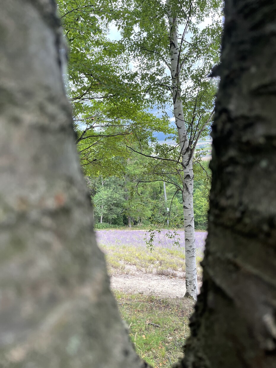 誰にも話せないような悩み、不安な事など話をききます どんな内容でも気軽に相談してください！！ イメージ4