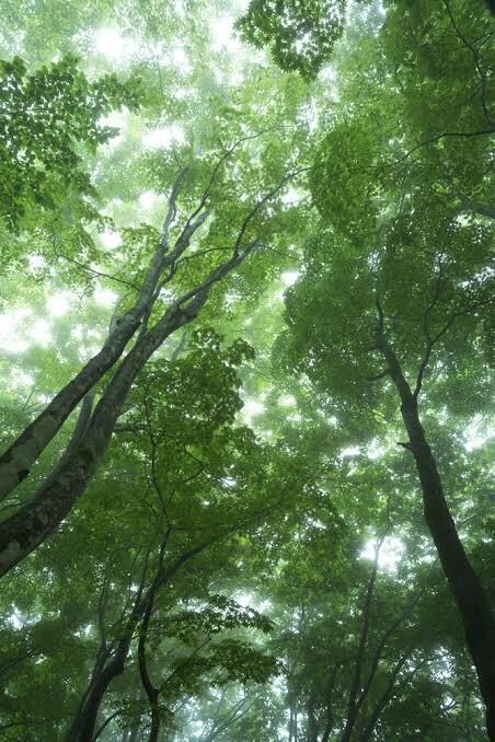どんな事でも占います！24時間以内に占います 貴方様のこと、貴方様の大切な人の過去や未来が気になる方へ イメージ1
