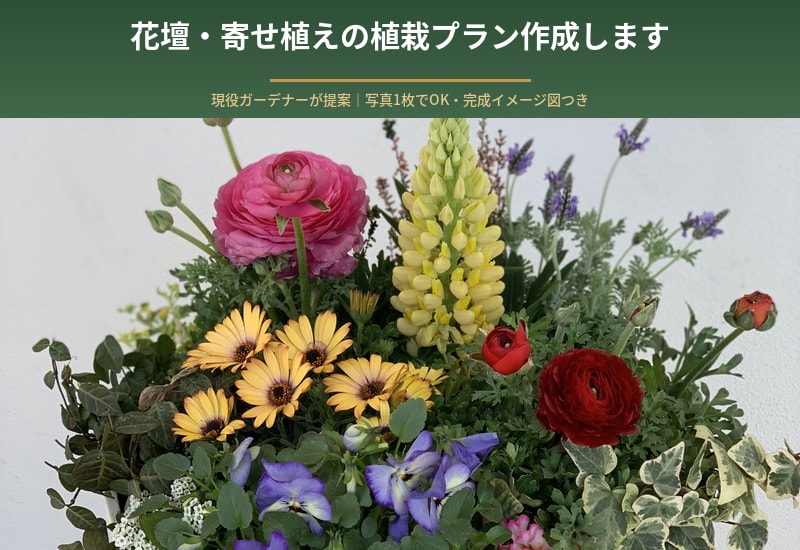 現役ガーデナーが花壇・寄せ植え植栽プラン提案します 写真を基に､完成イメージ付きで分かりやすく提案 イメージ1