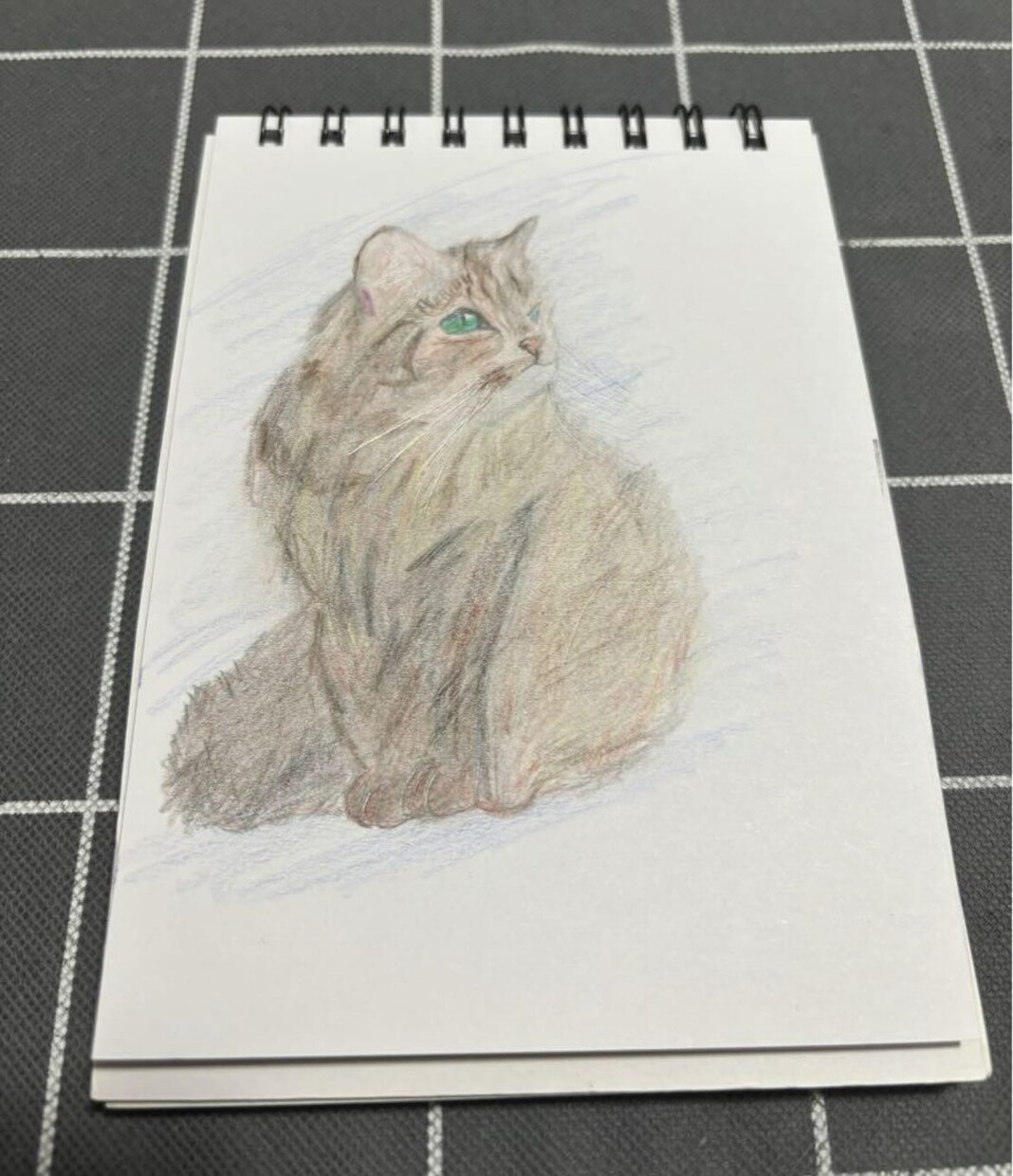 写真をもとに犬か猫の似顔絵を描きます できるだけリアルに描くようにします。 イメージ3