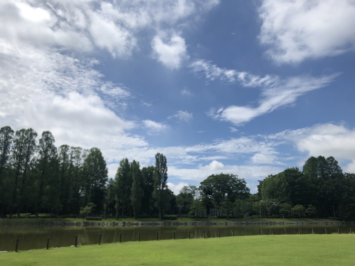 共感力の高い私がゆったりお話受けとめます 人一倍の直感力、傾聴力で寄り添います^^ イメージ2