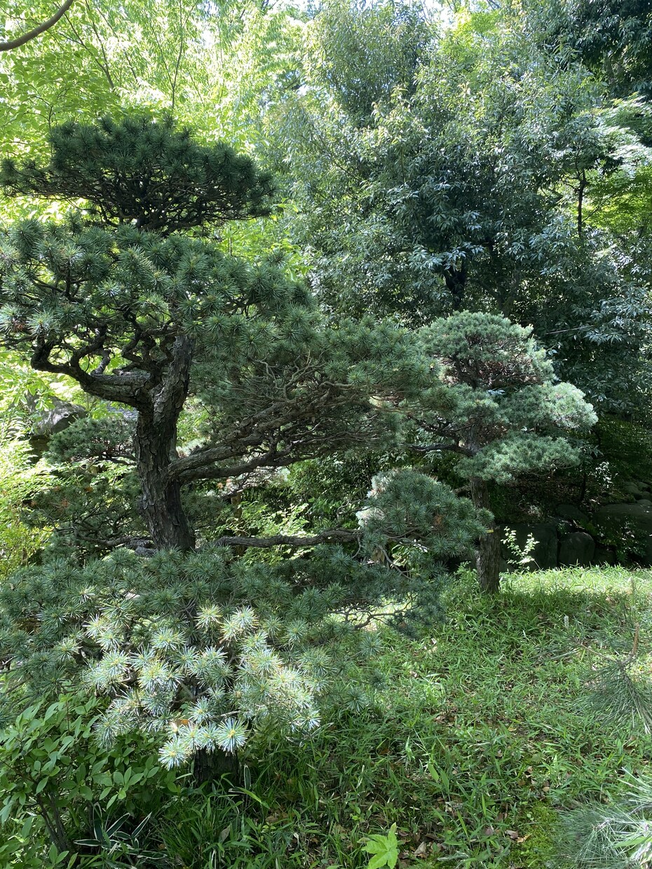 気になること・悩みをお聞きします 本当は何を求めているのか？一緒に探しましょう イメージ1