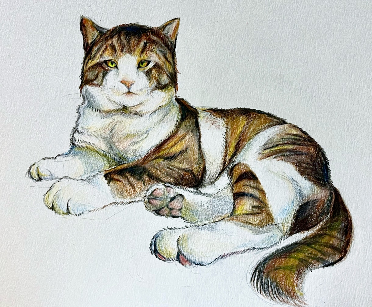 原画郵送✳︎動物を透明水彩や色鉛筆で描きます お好きな動物や愛するペットなど何でも描きます！ イメージ6