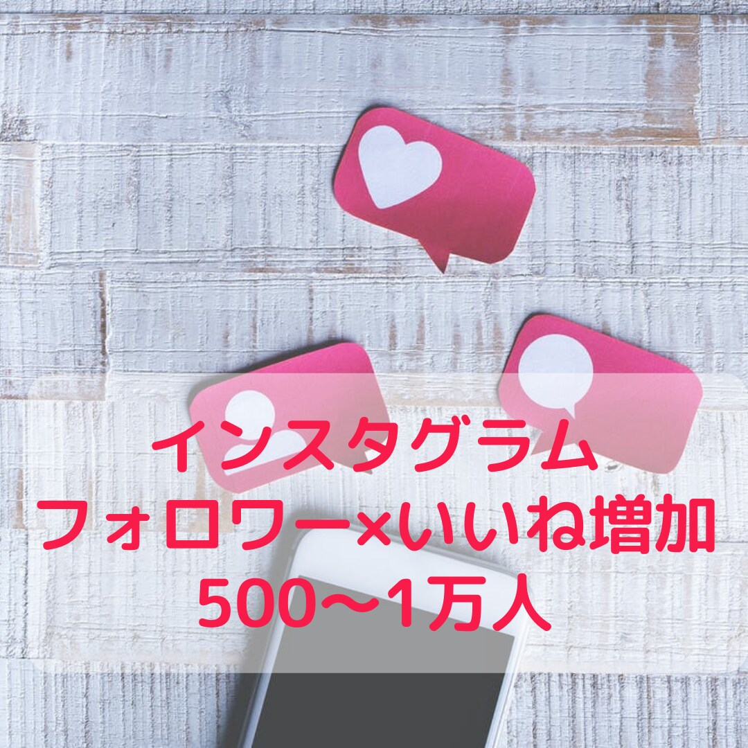 インスタグラムのフォロワーといいね増やします フォロワーといいねをそれぞれ500ずつ以上増加 イメージ1