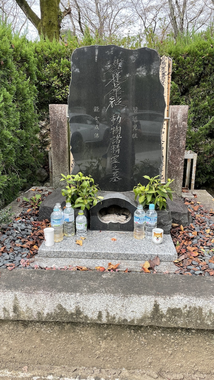 あなたのお墓を「墓地清掃士」がピカピカにします 東京・千葉・神奈川・茨城のお墓を心を込めてお掃除します。 イメージ1