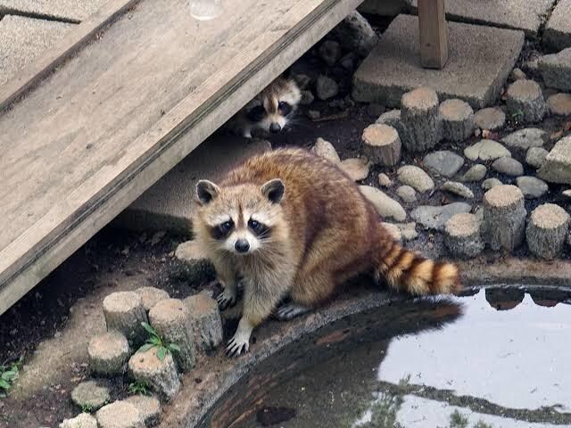 メールで不安、愚痴、悩み相談のります 悩み相談、話し相手なんでもいいですよ イメージ2