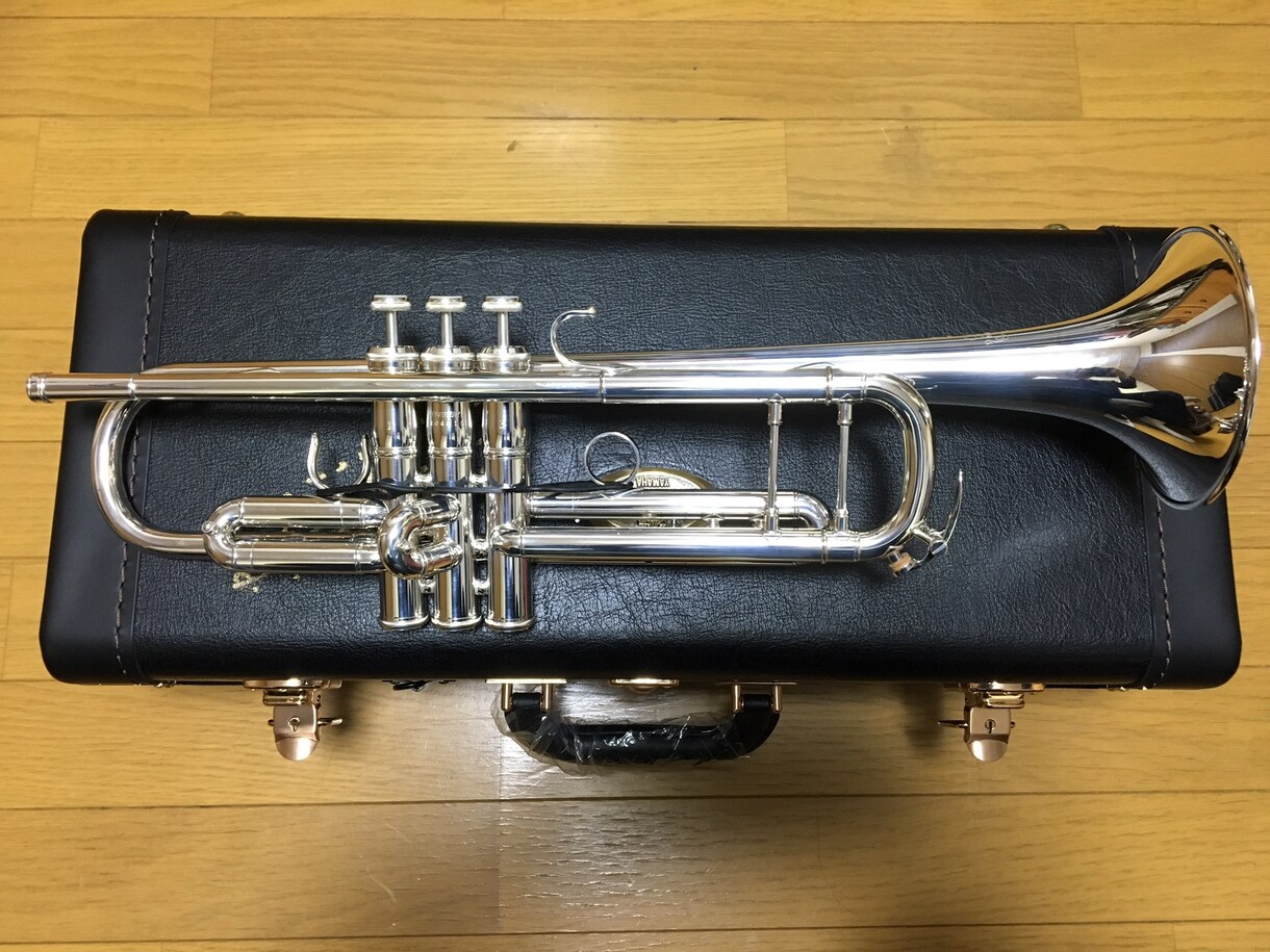 金管の技術向上のスキルを教えます 楽器が上手くなりたい方は是非ご連絡ください。 イメージ1