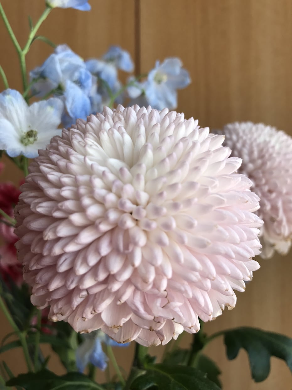 モテ✩︎美の女神☪︎·̩͙ヒーリング致します 素敵な出会い・ロマンスを呼びたい方に・・❤⃛ イメージ1