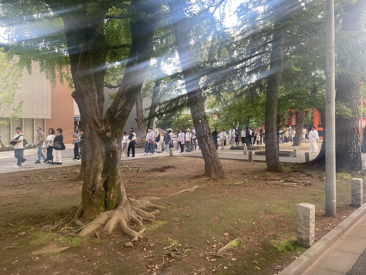 あなたを一生守護する産土神社を鑑定します 自分だけの唯一無二の守護神が、「 最強の開運力」へと導く！ イメージ6