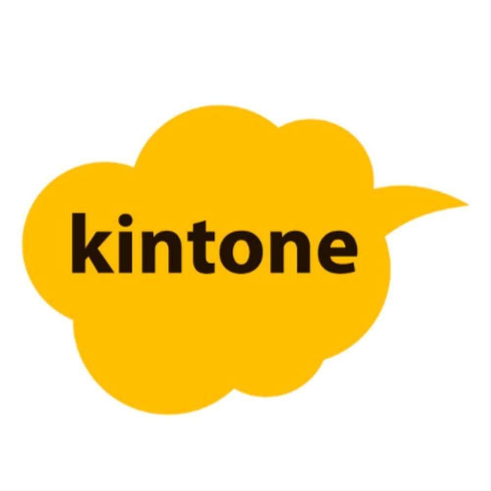 kintoneでの業務システム構築を支援します 標準機能での構築から、JavaScript改修まで対応 イメージ1
