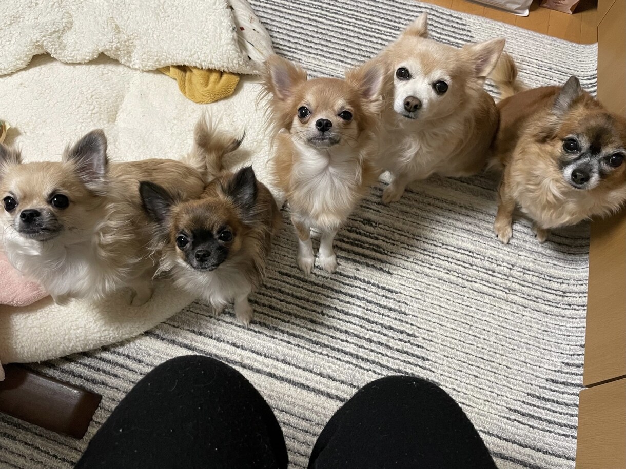 精神的な病気、うつ病でも恋愛や結婚できます 辛い努力も救われるはず！恋愛や結婚で人生が180度変わります イメージ4