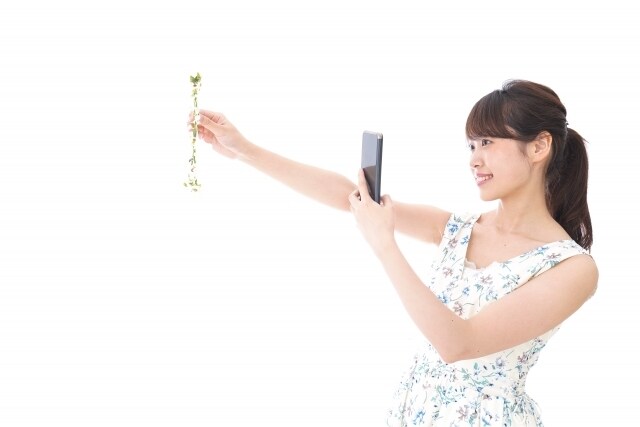 動画編集します 10分程度の動画編集します。素材、カット済みが望ましいです イメージ2