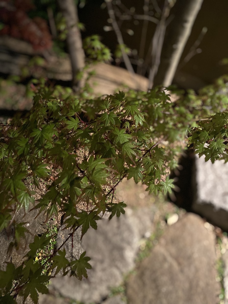Enjoy Japanese! 日本語指導します 英語でのサポート可能。楽しく会話しましょう。 イメージ1