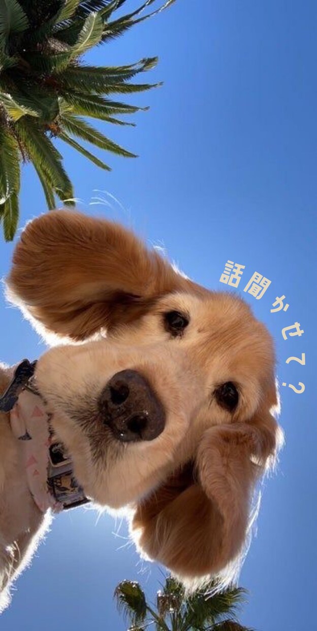 なんでもお話しお聞きします そのモヤモヤ一緒に消しませんか？ イメージ1