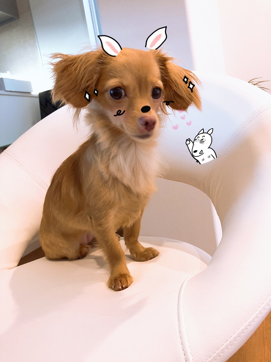人生の悩み相談や恋愛相談のります 今後のあなたの人生はどうなるかはあなた次第 イメージ1