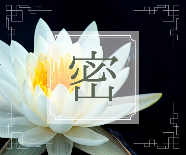 誰にも言えない秘密の恋、占います モヤモヤ、苦しみ、悲しみからの解放 イメージ1