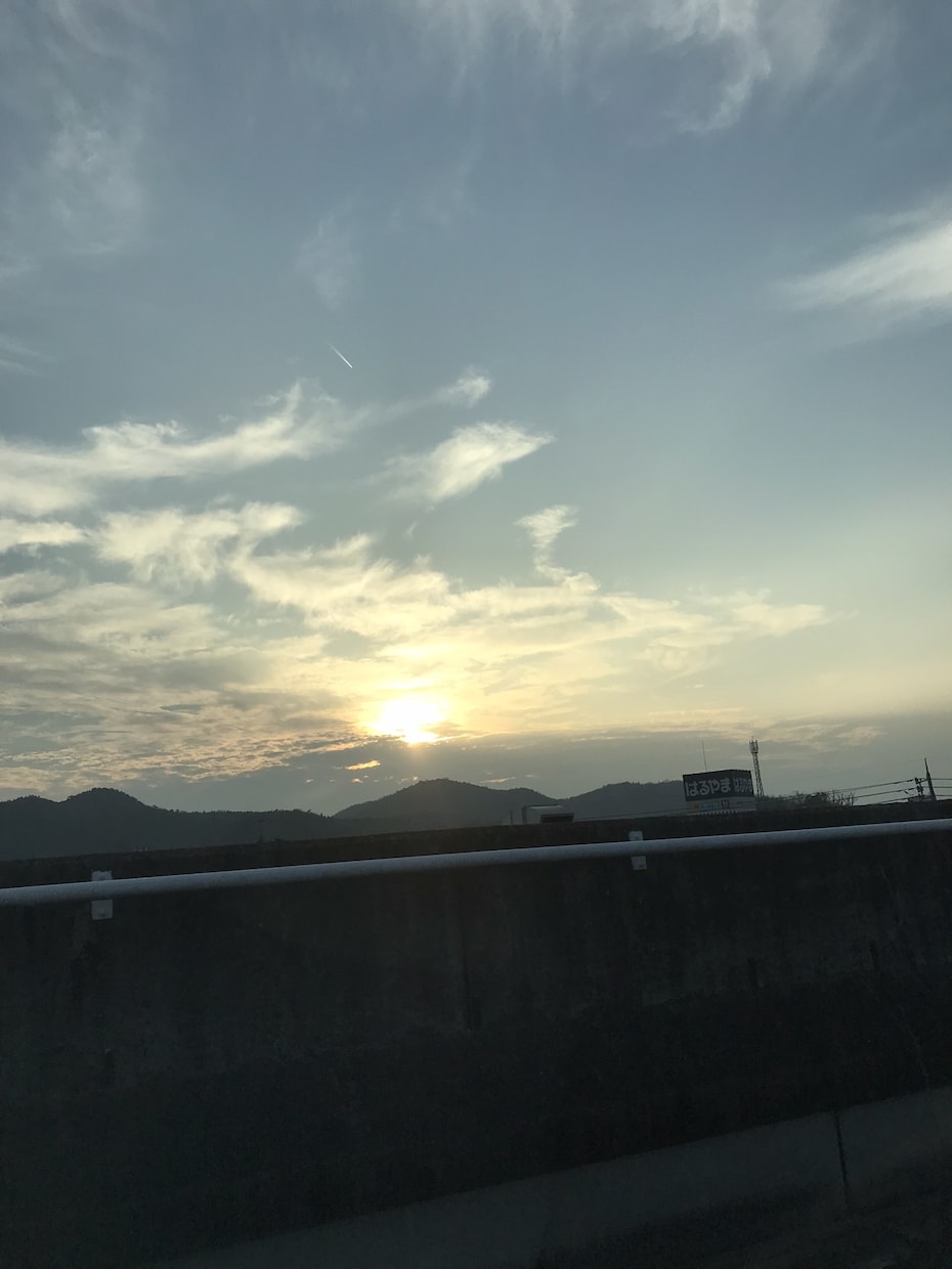 あなたの癒しのシェルターになります あなたが辛い時、元気になり羽ばたいた後また傷ついた時帰る場所 イメージ2