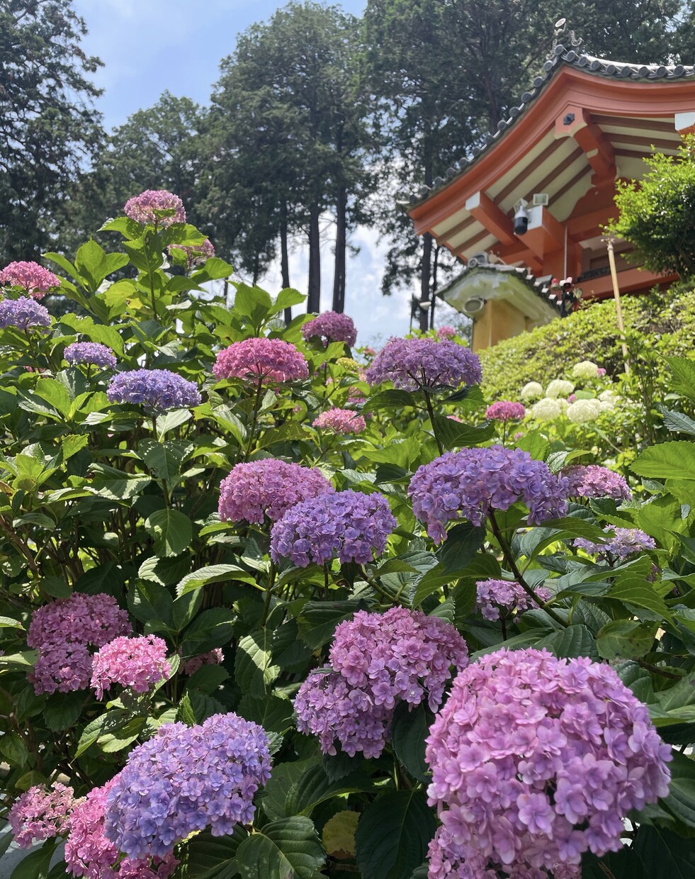 どんな話もお聞きします これも何かのご縁…私と話しませんか？(*´꒳`*) イメージ5