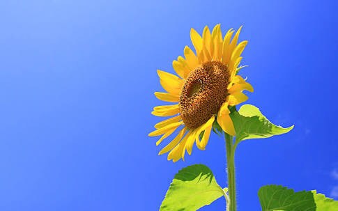 何でも聞かせてもらいます 口唇口蓋裂、双極性障害をもった僕なりに話きかせてもらいます！ イメージ1