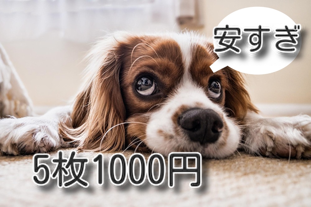 画像、写真の切り抜き承ります 安く、早くをモットーに納品いたします。 イメージ1