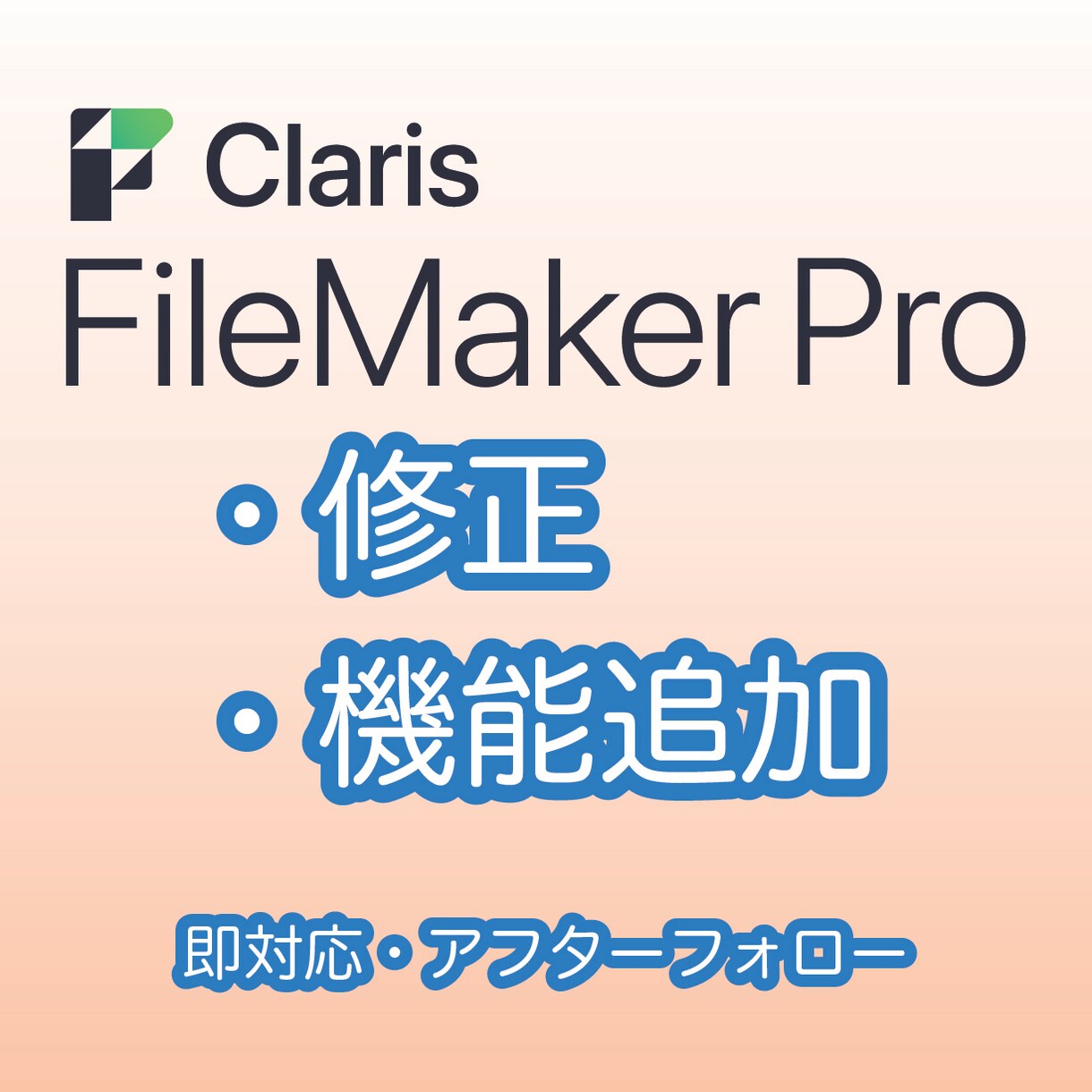 FileMaker システムの改修承ります ちょっとしたお悩みでもご相談ください！ イメージ1