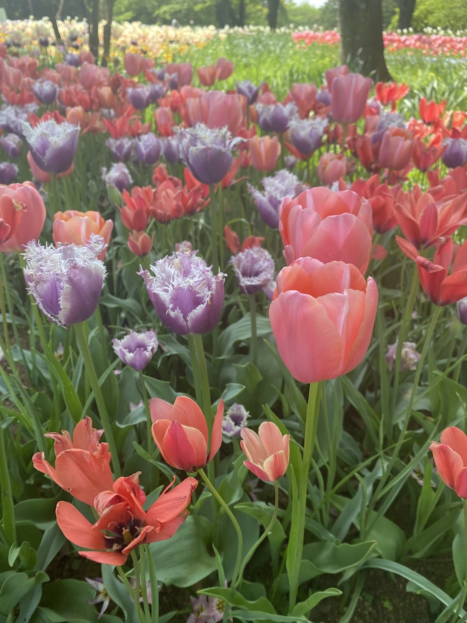 あなたの心に寄り添います 心の荷物、少し置いていきませんか？ イメージ1