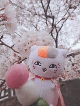 お悩みの相談を受けます 恋愛、家族、仕事、などのお悩みはこちらから。 イメージ1