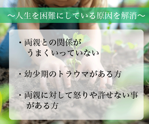 人生を困難にする原因のインナーチャイルドを癒します 幼少期のトラウマや毒親克服、前進を妨げる過去を解消 イメージ2