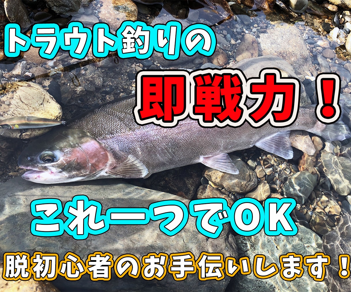 脱初心者！流行りの本流トラウト釣り方教えます 動画とPDFでお渡し！さらに質問に直接お答えします！ イメージ1