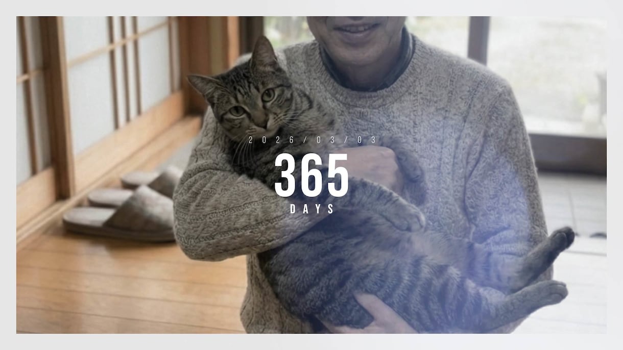 お子様やペットとのはじめての一年を動画に残します ただ一緒に過ごしただけなのに、人生が変わった一年を動画に イメージ6