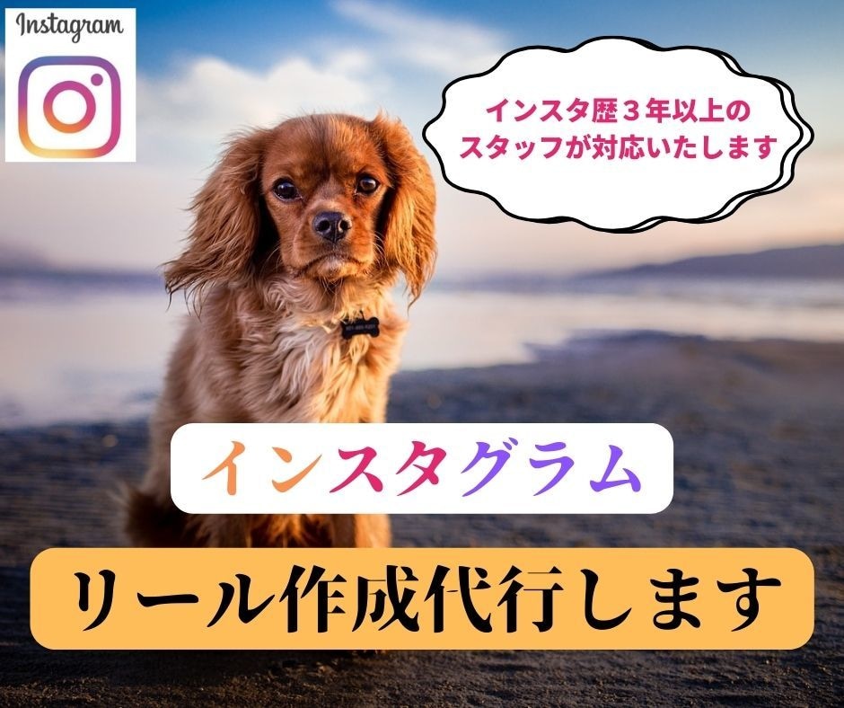 Instagramの「リール」を作成代行します ご希望に沿ったリールを他社様より圧倒的に安価で作成いたします イメージ1