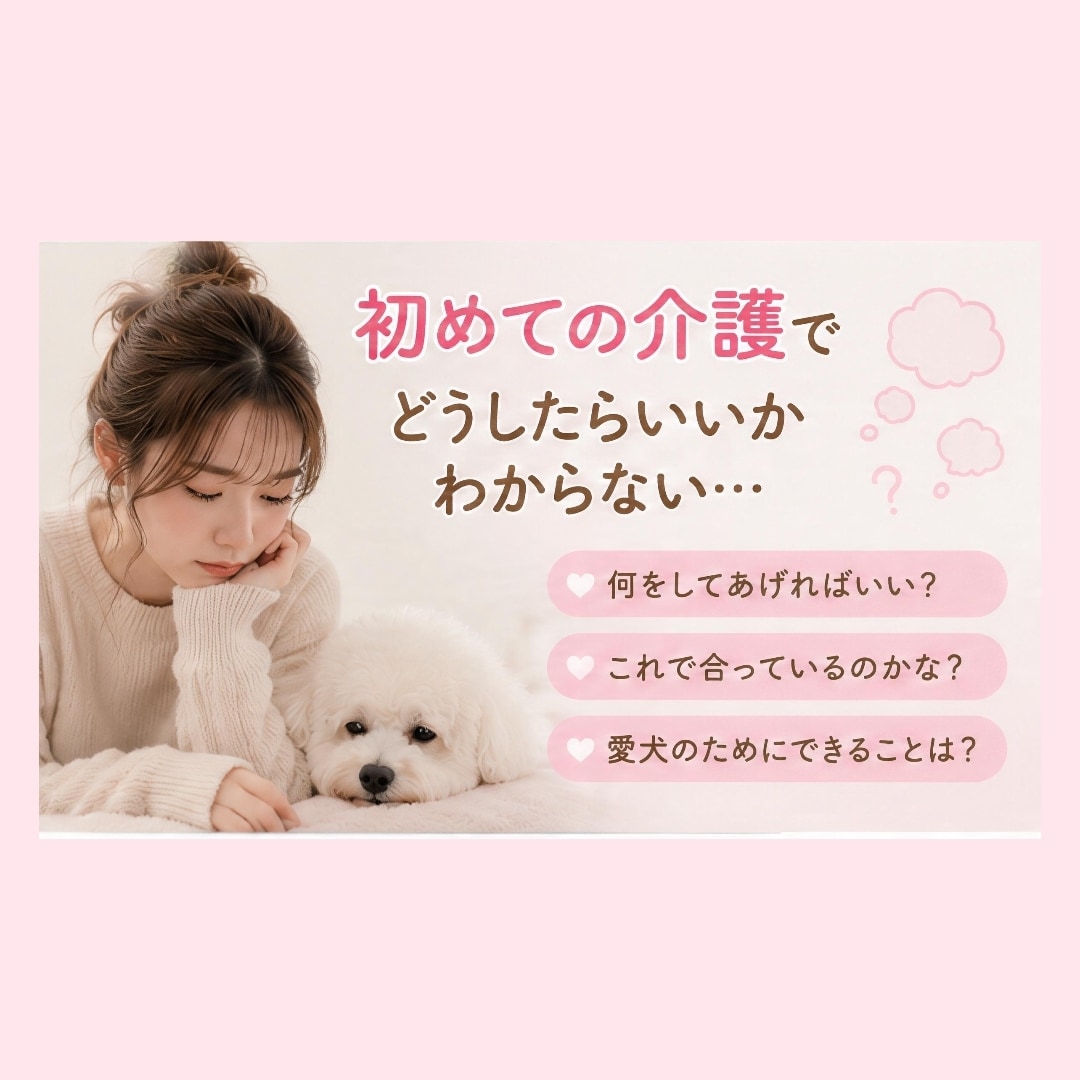 老犬との暮らしや介護のお悩みを一緒に考えます 食事・排泄・寝たきりなど、愛犬の介護をサポートします イメージ4