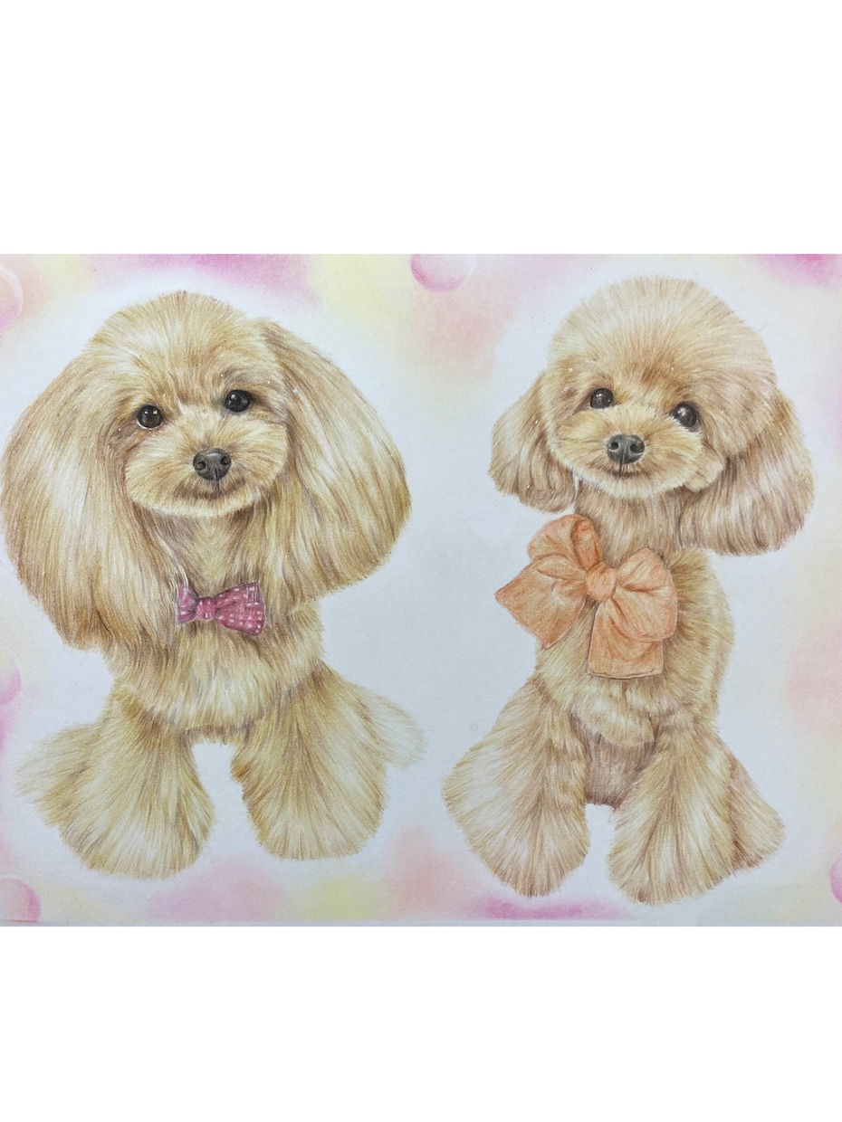 色鉛筆似顔絵肖像画描きます 世界に１つだけの愛犬、愛猫の似顔絵を原画でお渡します。 イメージ3
